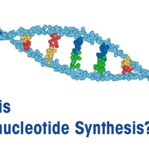 RNA oligonucleotide - Unmodified - 50 nmol